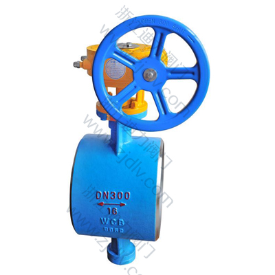 Two way double pressure blasting joint butterfly valve